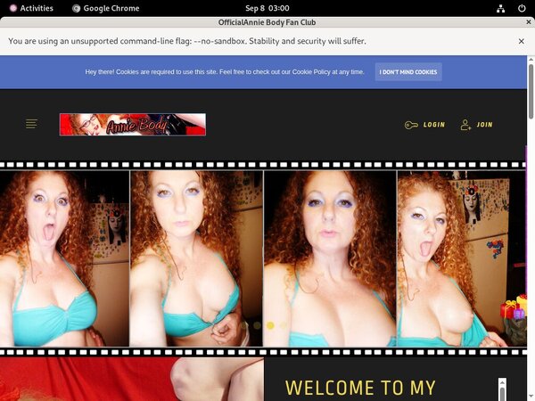 AnnieBody Mobile Accounts