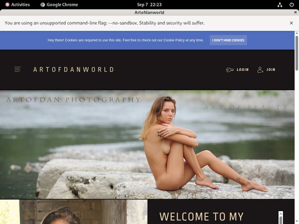 Artofdan Trial Membership
