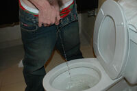 Boys-pissing.com Bankeinzug s0