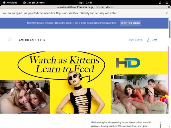 [Image: Coupons-Americankittencom.jpg]