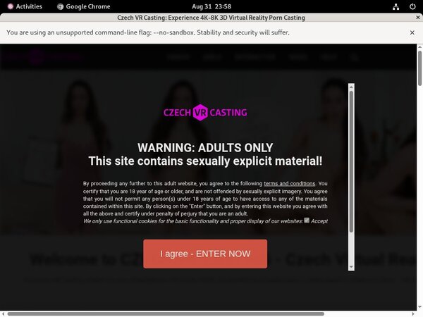 Czech VR Casting With Cash