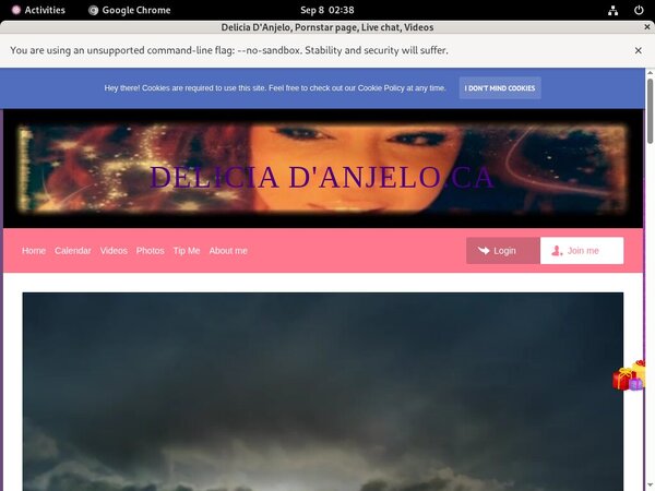 Deliciadanjelo.modelcentro.com Accounts Working