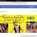 Discount Americankittens Account