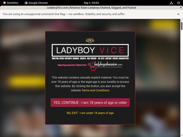 Discount Ladyboy Vice Trial Discount Ladyboy Vice Trial