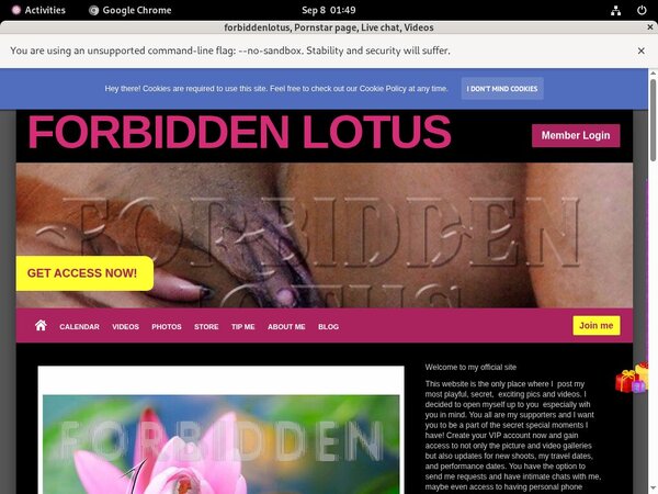 Forbiddenlotus Automatische Kassen
