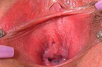 Get A Free Gape My Pussy Password s1