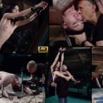 Get Subspace Land Free Login Get Subspace Land Free Login