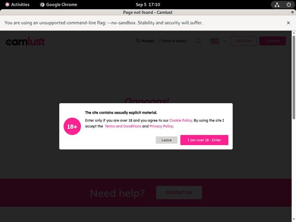 Goddess Loretta Login Generator