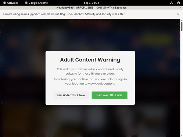 Helloladyboy Sex Helloladyboy Sex