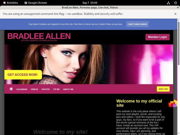 Inside Bradleeallmodelcentro.com
