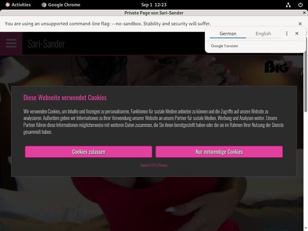 Joining Sari Sander