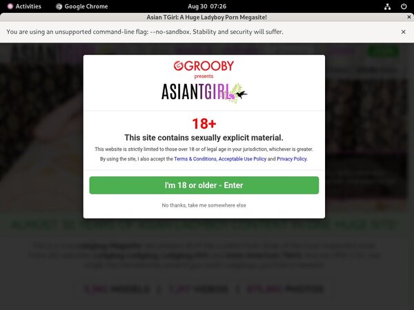 Ladyboyladyboy Valid Password