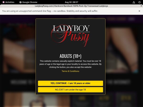 Ladyboypussy.com Offer Paypal