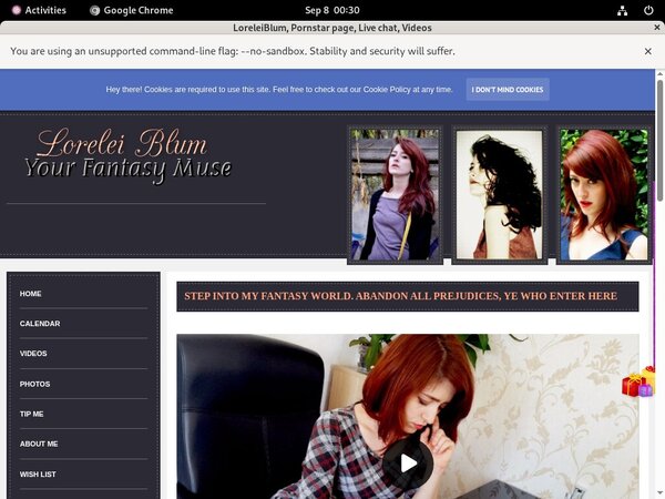 LoreleiBlum Web
