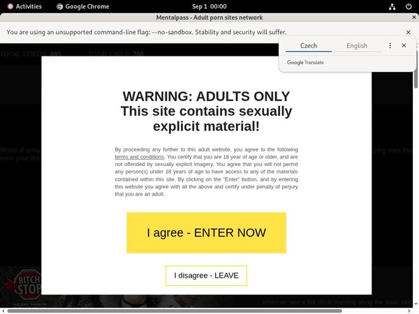 Mentalpass Fetish