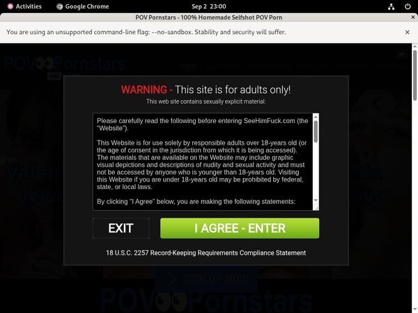 POV Pornstars With JCB Card