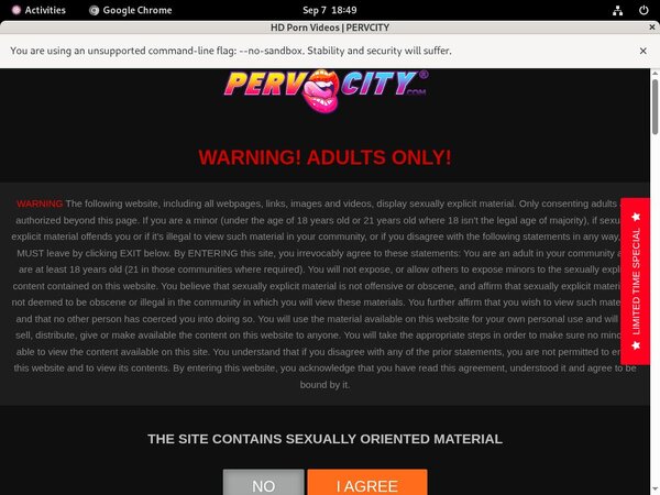Pervcity.com Pussy