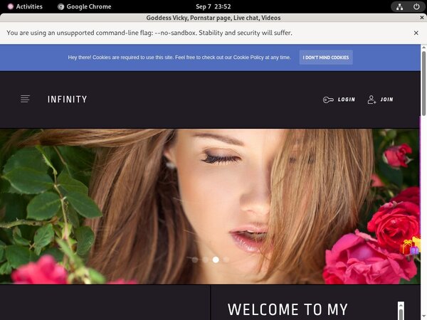 Premium Goddess Vicky Site Rip