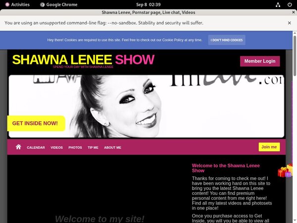 Shawna Lenee Porn Hub