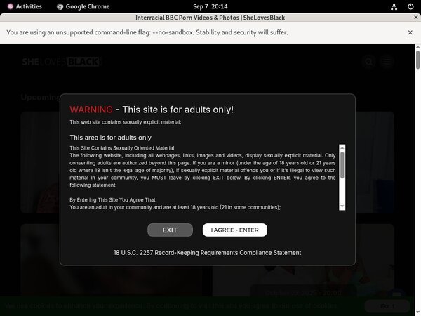 Shelovesblack.com VR Porn