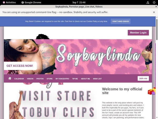 Soykaylinda.modelcentro.com Discount Review