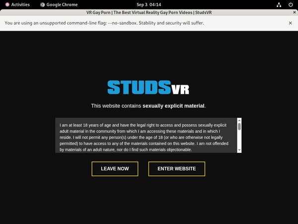 Studs VR Gay Porn