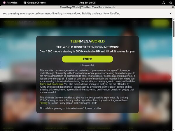 Teen Mega World Net
