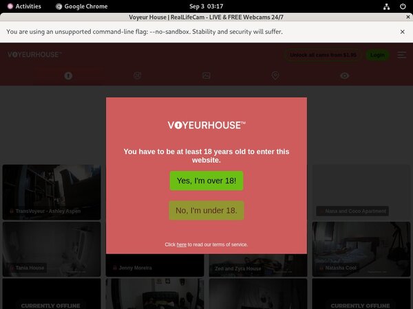 Voyeur House Promo Link Code