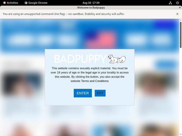 [Image: Mobile-Badpuppy-Account.jpg]