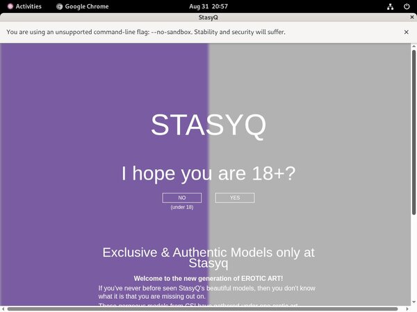 Stasyq Login Generator