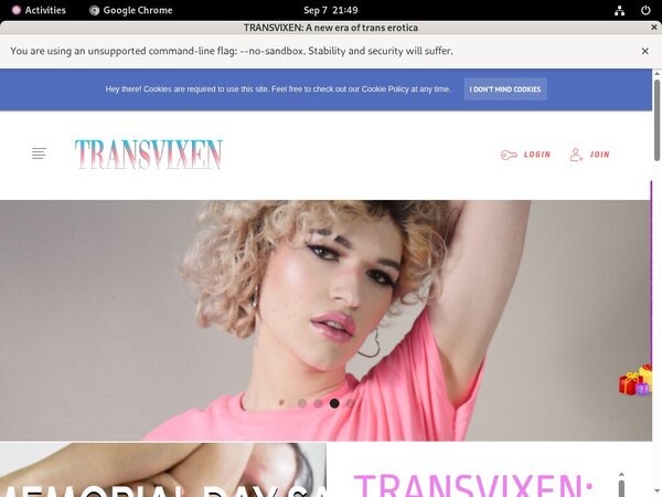 Transvixen Gay Transvixen Gay
