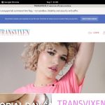 Transvixen Gay